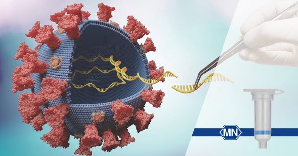 Вирусная ДНК и РНК