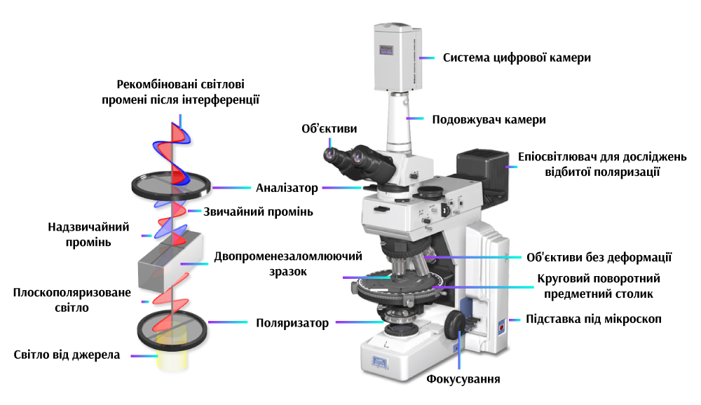 Рисунок 1. Конфігурація мікроскопа з поляризованим світлом.